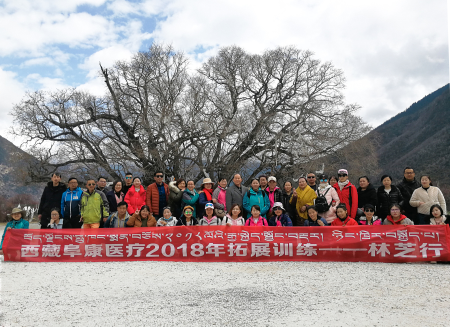 西藏阜康醫療2018年拓展訓練——增強團隊凝聚力、提升團隊協作能力，更好地為患者服務
